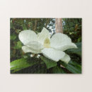 Buscar magnolia blanca puzzles Fotografía