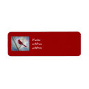 Buscar cardinal etiquetas Pájaro