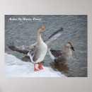 Buscar pato arte Invierno