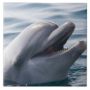 Buscar delfines azulejos General y unisex