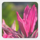 Buscar de la isla pegatinas Destino de viaje