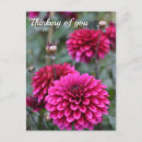 Buscar bokeh postales Floral