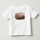 Buscar pirámide camisetas Punto de referencia