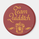 Buscar quidditch imanes Harry potter