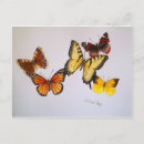 Buscar perro de la mariposa postales Mariposas