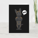 Buscar funny dog tarjetas Amante del perro