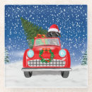 Buscar autobuses posavasos General y unisex