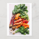 Buscar zanahorias fotografía Alimento