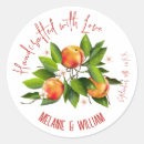 Buscar nectarine Conservas