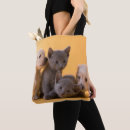 Buscar perrito azul bolsos Gatitos azules rusos