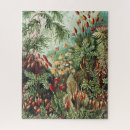 Buscar ilustraciones del vintage puzzles Plantas