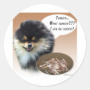 Buscar pomerania pegatinas Feliz