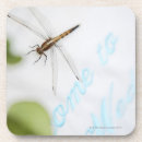 Buscar acontecimientos cristaleria bar Al aire libre