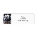 Buscar del caballo percheron postales Percance