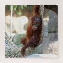Buscar orangutanes puzzles Animal