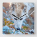 Buscar lobos grises relojes de pared Para todos