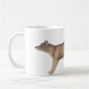 Buscar tasmano Thylacine