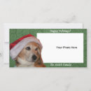 Buscar hoilday Santa