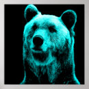 Buscar osos negros posters Animales
