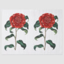Buscar flor roja papel de seda Flores