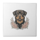 Buscar perro del rottweiler azulejos Pug