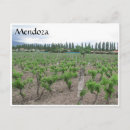 Buscar mendoza postales Bodega