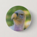 Buscar grifo chapas Animal
