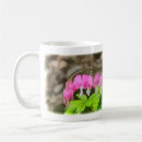 Buscar corazones sangrantes tazas Naturaleza