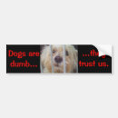 Buscar mutt pegatinas parachoque Adopte