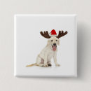 Buscar aduana accesorios Canino
