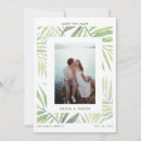 Buscar palma de coco invitaciones Para todos
