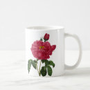 Buscar fleurs tazas Botánica