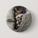 Buscar grandioso chapas General y unisex