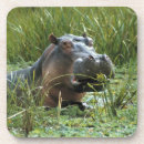 Buscar hipopótamos posavasos Hipoglucemia