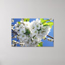 Buscar cerezas lienzos General y unisex