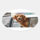Buscar canino ovales pegatinas Adorable