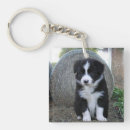 Buscar border collie llaveros Cachorro