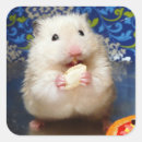 Buscar hamster pegatinas Adorable