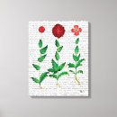 Buscar italiano lienzos Steampunk