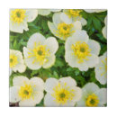 Buscar cierre azulejos Danita delimont