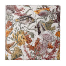 Buscar medusas azulejos Barco