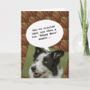 Buscar amantes animales tarjetas Divertido