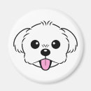 Buscar frise imanes Perro blanco