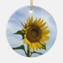 Buscar girasol amarillo adornos Bonito