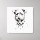 Buscar schnauzer lienzos Perro