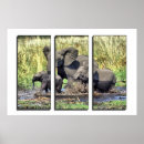 Buscar familia elefante posters Safari