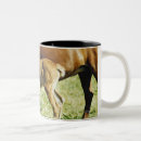Buscar imagen del caballo tazas Al aire libre