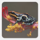 Buscar veneno etiquetas Vida silvestre