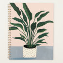 Buscar planta agendas Plantas domésticas