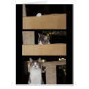 Buscar admirador postales Humor